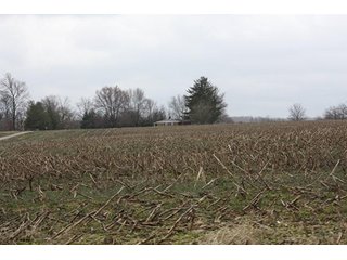 Property photo 1 - 438 +/- Acres Offered in 10 Tracts - Metcalf Farms - 6PM CST